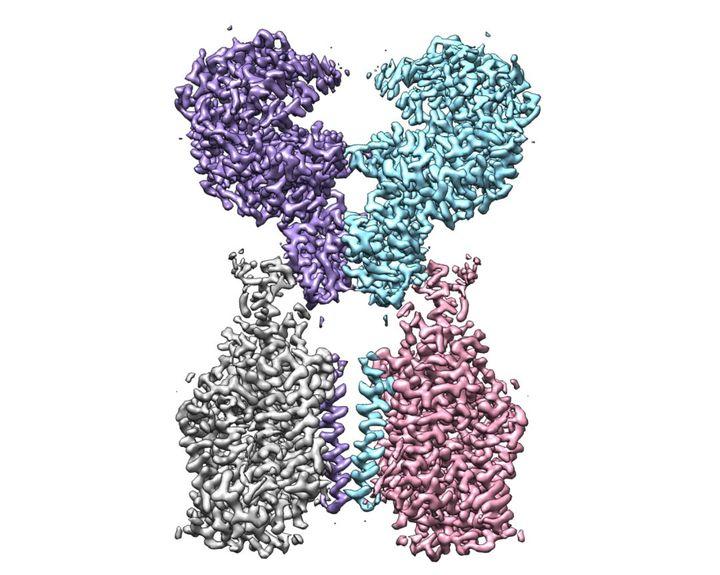 疫情病毒名字解析及其影响研究