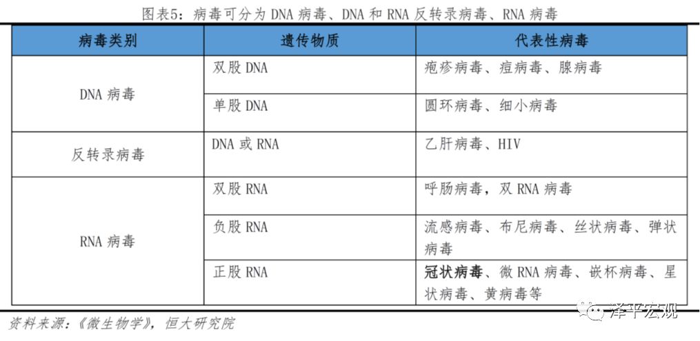 疫情病毒名称概览及其影响深度研究