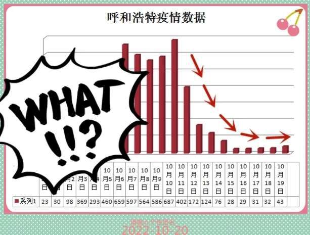 呼市新冠疫情起始年份探究，回顾与反思