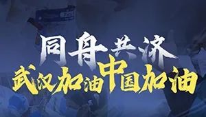 共同抗击疫情，我们的战斗与胜利之路回忆录