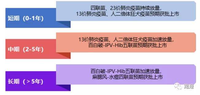 上海新冠疫情起始年份探究与深度解析