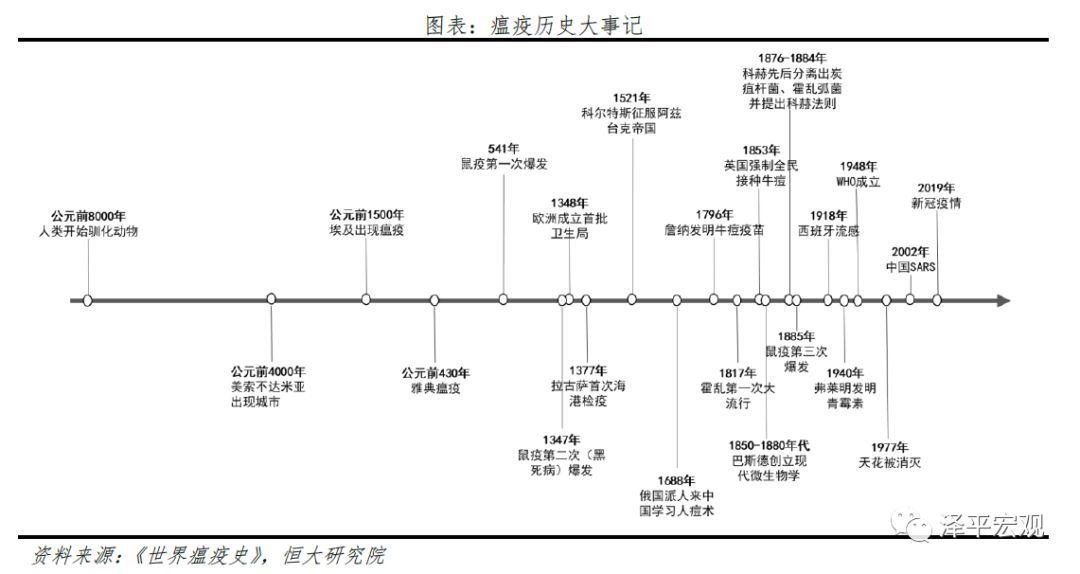 疫情起源城市深度探究，回溯历史轨迹，探寻真相之路