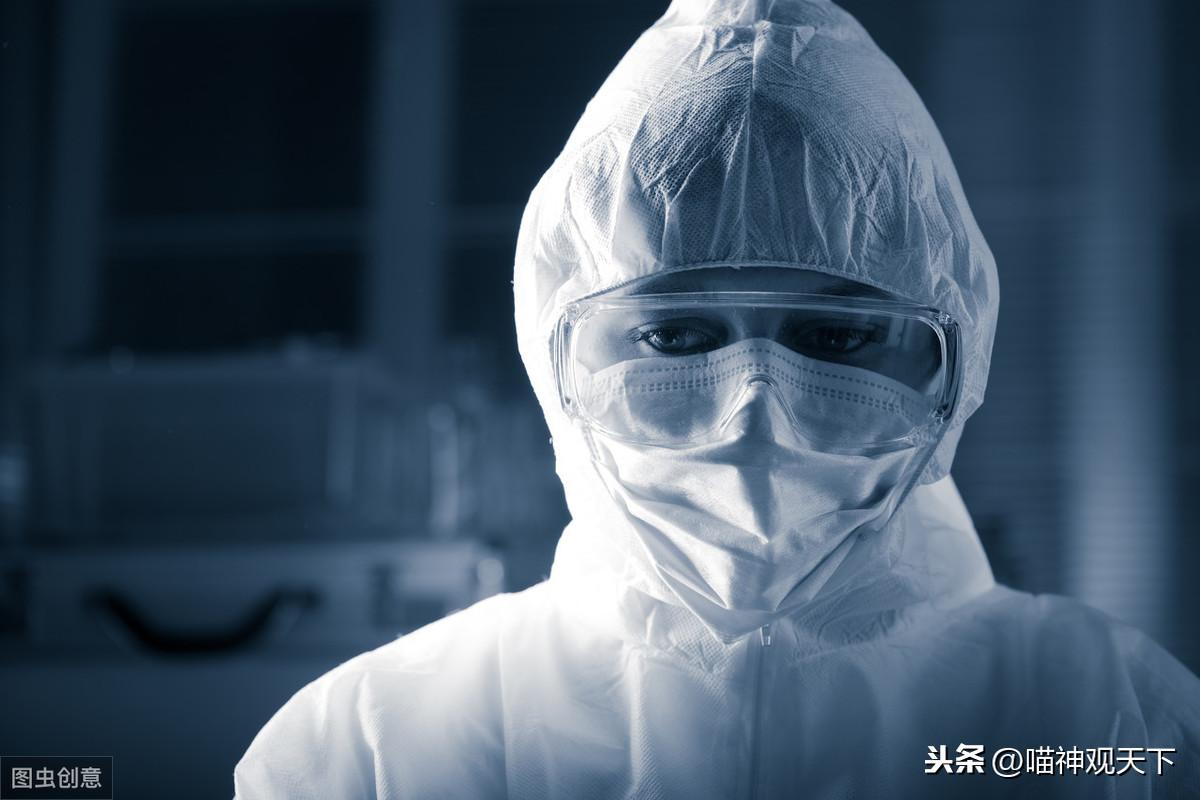 疫情起源与演变回顾，疫情发生的那一年记忆与解析