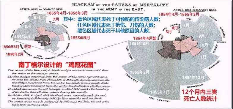 全球疫情放开后死亡人数最新数据观察与分析报告