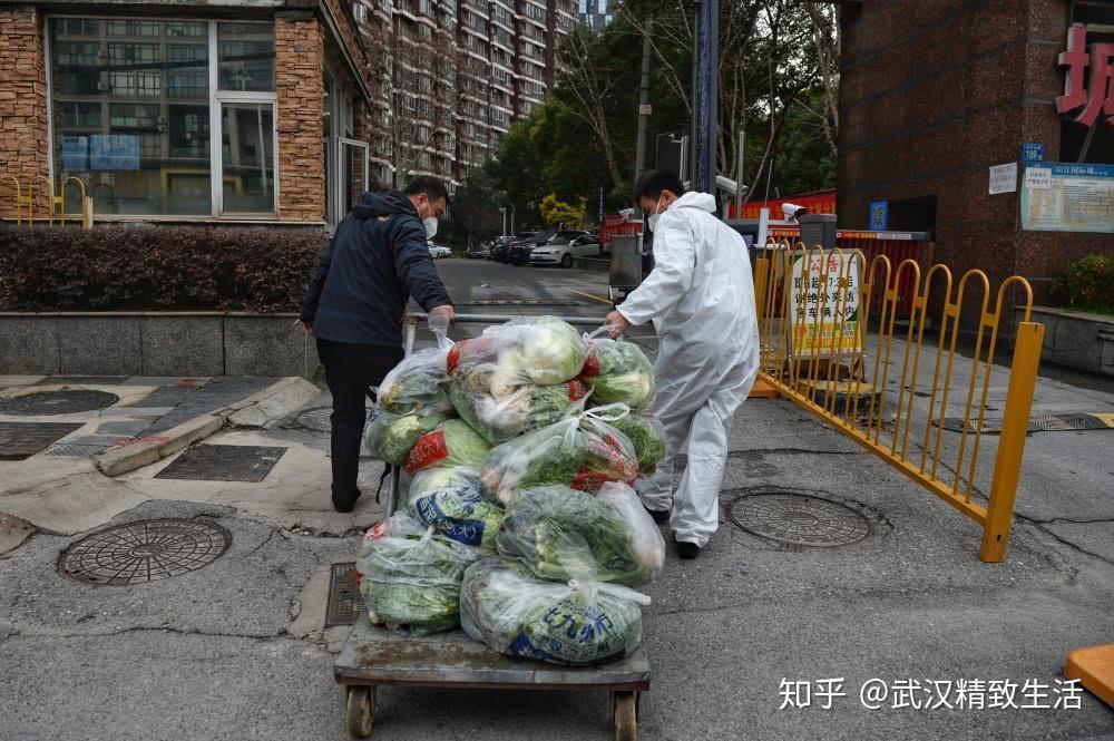 疫情之下，城市封控与复苏之路探索