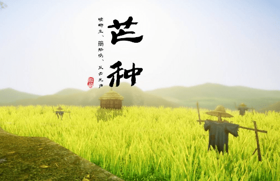 疫情解封日，希望与未来的交汇时刻