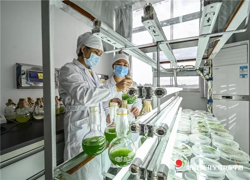 疫情下小微企业免税政策及其影响分析