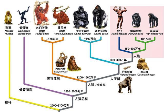 疫情终结之时，人类与病毒的较量