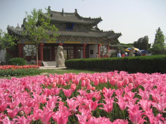 疫情阴霾下的突发坏消息冲击