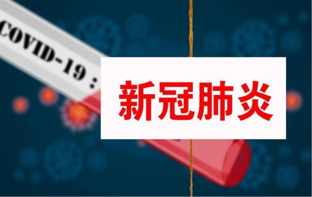 疫情放开的时间节点，回顾过去，前瞻未来