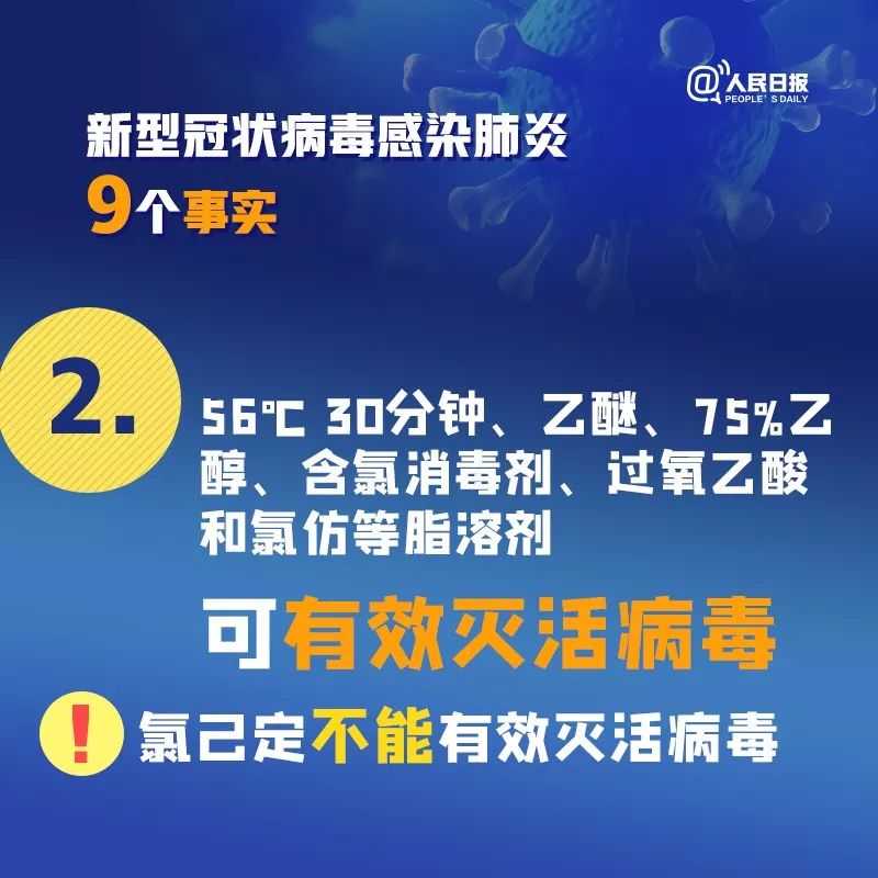 新冠病毒溯源与防控挑战，疫情中的挑战与应对之道
