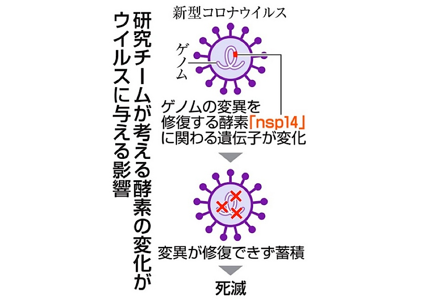 日本疫情背后的病毒真相
