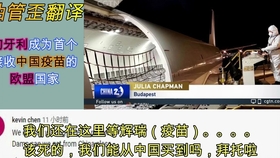 中国疫情结束时间预测与未来展望分析