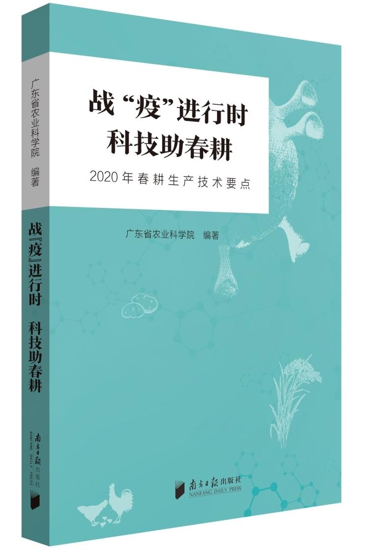 后疫情时代，全新篇章的开启