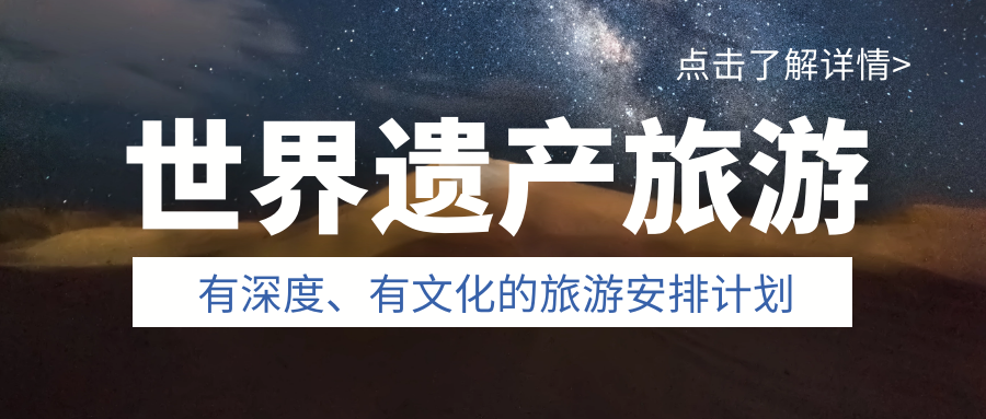 疫情始末，全球挑战与希望之旅