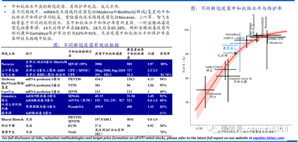 疫情结束曙光初现，未来展望可期