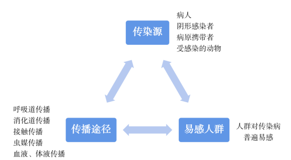 疫情概述与三种传播途径深度解析