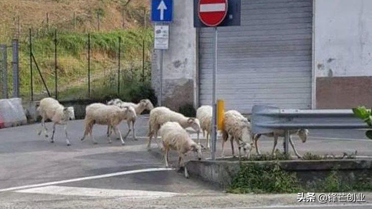 疫情下的挑战与反思