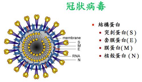 三年疫情背后的病毒揭秘，新型冠状病毒（COVID-19）深度解析