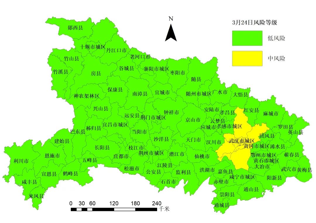 武汉疫情发生年份及其深远影响