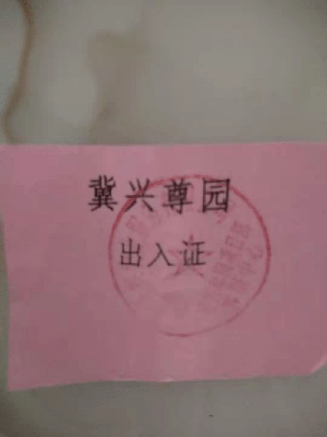 石家庄疫情解封最新动态与未来展望