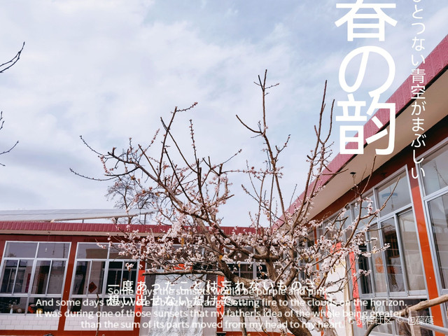 疫情解封之路探寻，春暖花开时的期待