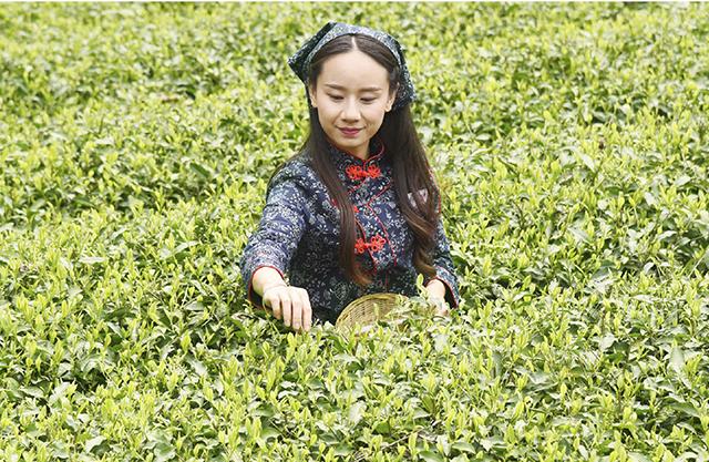 村委会开具疫情无收入证明的重要性及其影响分析
