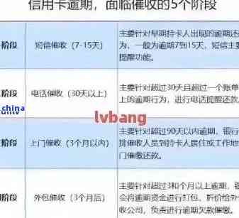 疫情下征信逾期处理指南，能否撤回及应对策略解析