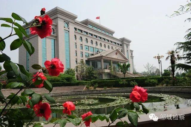 哈尔滨疫情最新动态，城市防控与民众生活实时更新