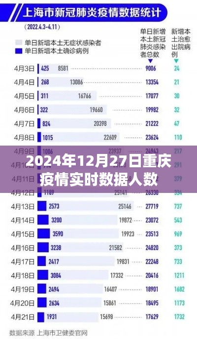重庆2024年疫情最新概况