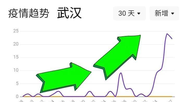 武汉疫情大爆发时间探究
