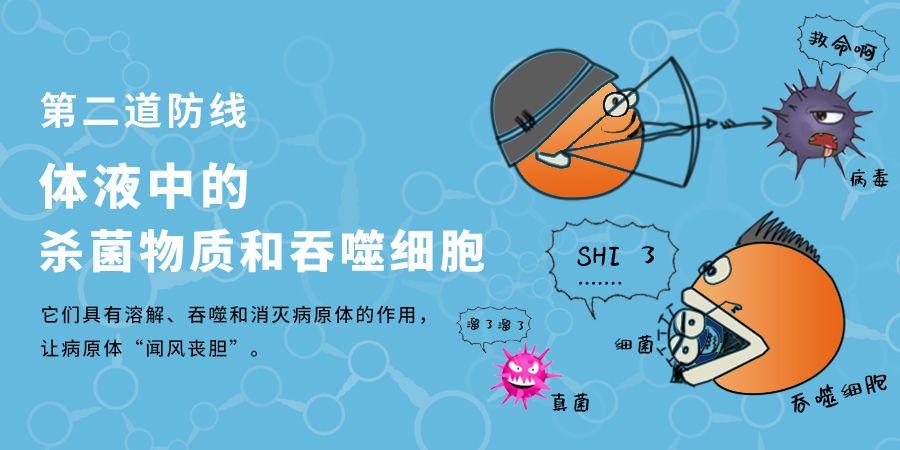 疫情初始阶段，回顾与反思