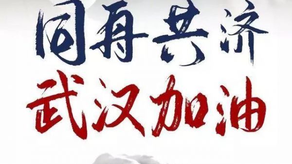 回望疫情初起之时，武汉的挑战与希望之路（2018年）