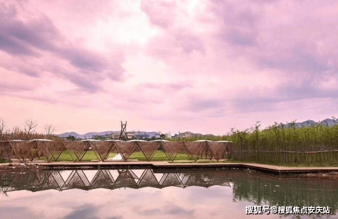 疫情开始发生的时间与影响概述