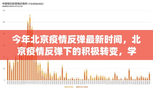 疫情初始阶段，回顾与反思