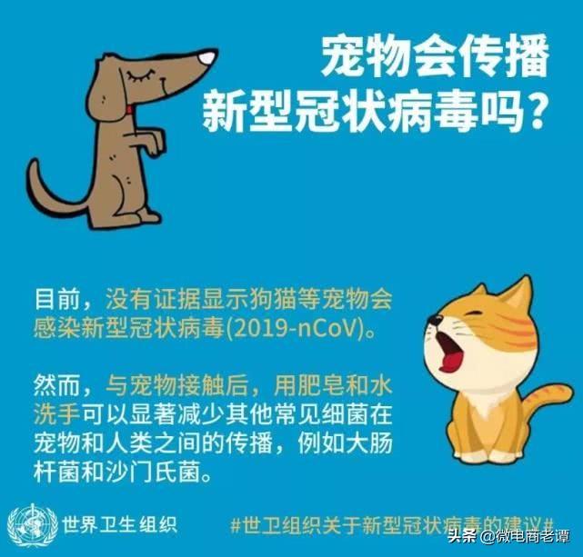 疫情三年，挑战与反思的历程