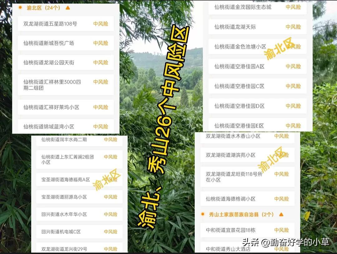 重庆今日疫情最新播报，最新动态与情况分析