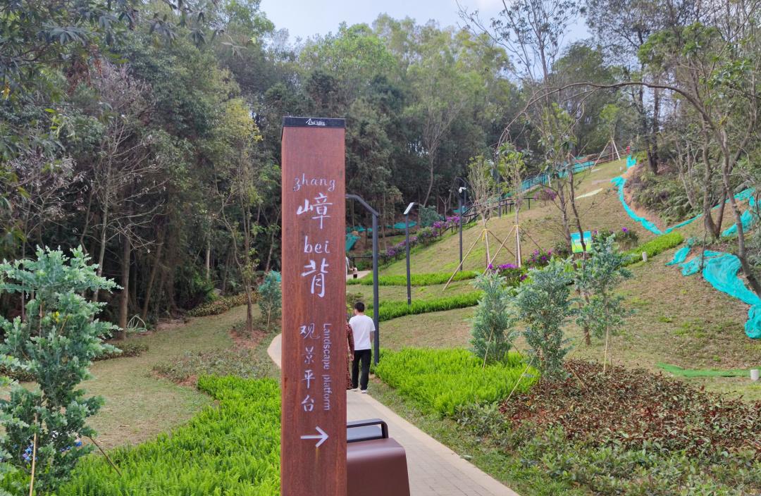 深圳最新一周疫情数据分析报告全解析