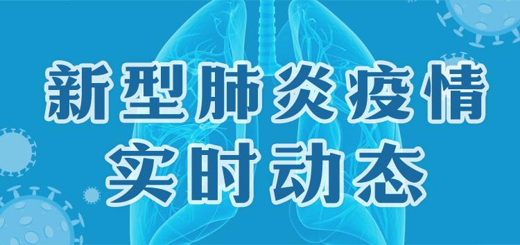 2020年全国疫情实时动态概览