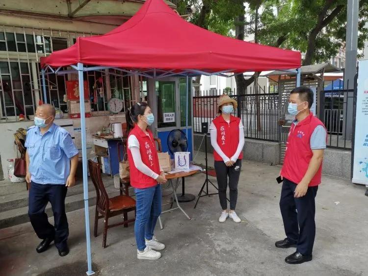 深圳疫情实时数据报告，最新数据与深度分析