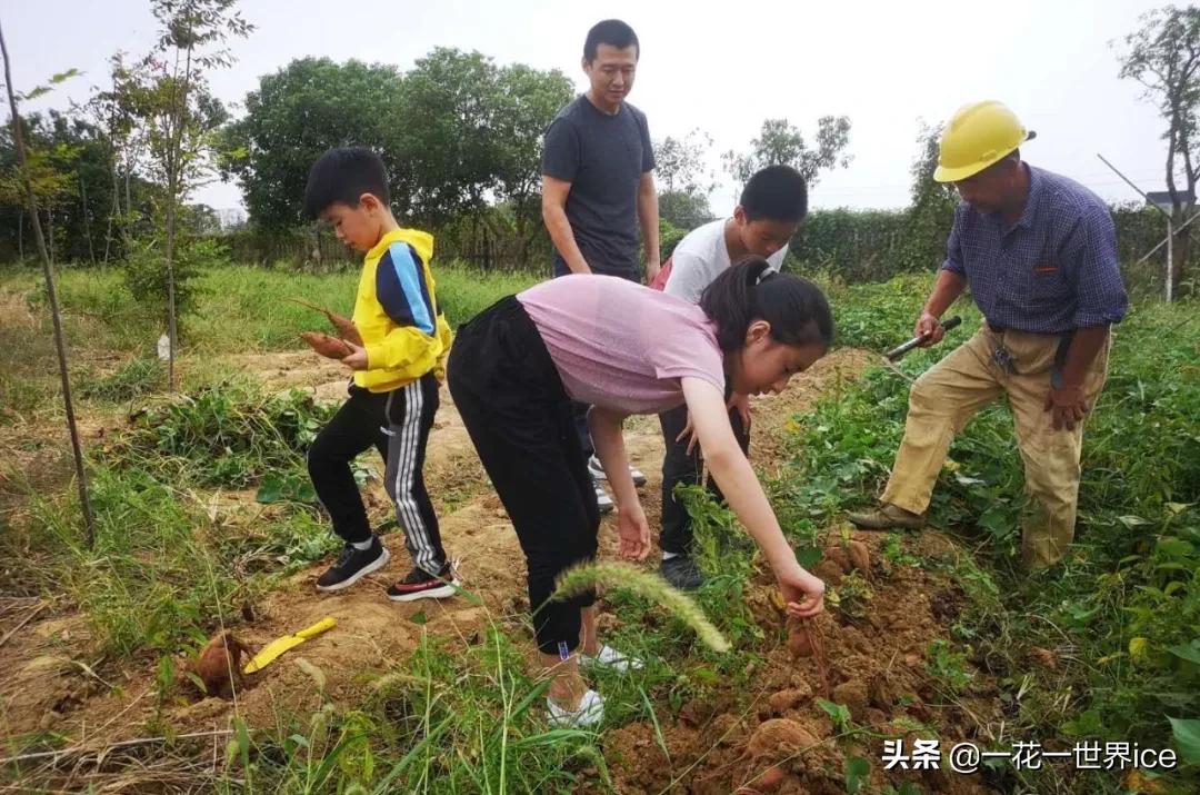 无疫城市，宁静日常的憧憬与美好