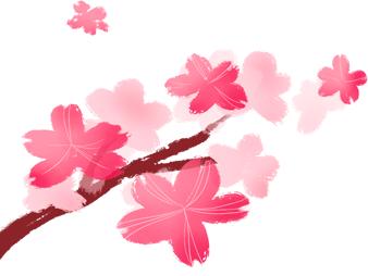 全国疫情防控下的无疫省份，宁静中的坚守与希望的曙光