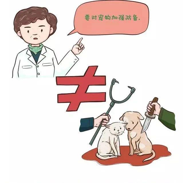 疫情期间家教生活漫画的温馨传承之路