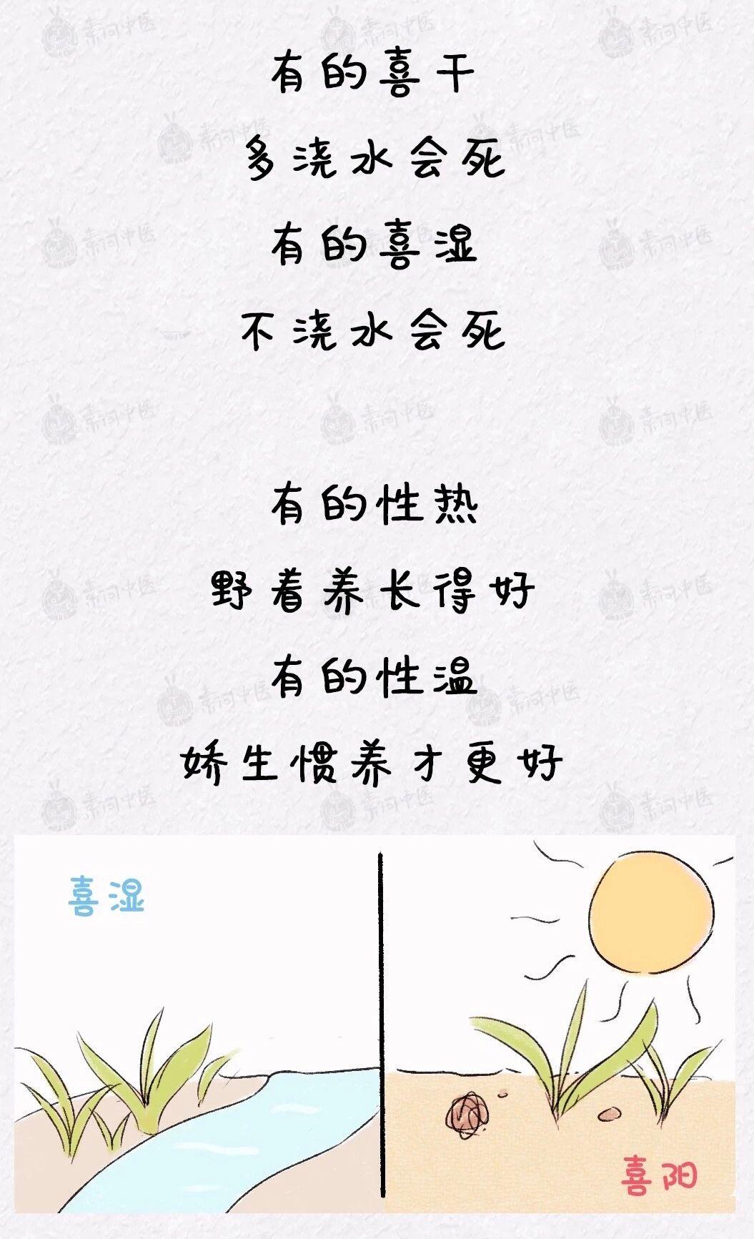 疫情期间的家教生活漫画，视觉体验与启示的别样篇章