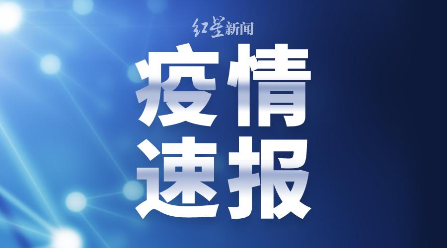 2037年疫情回顾，过去与未来的洞察