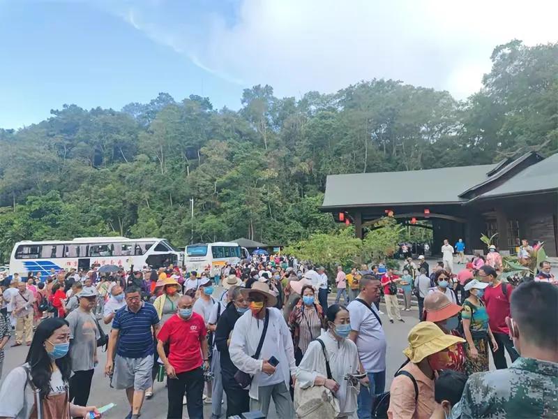 疫情后的复苏与人类社会反思，未来展望
