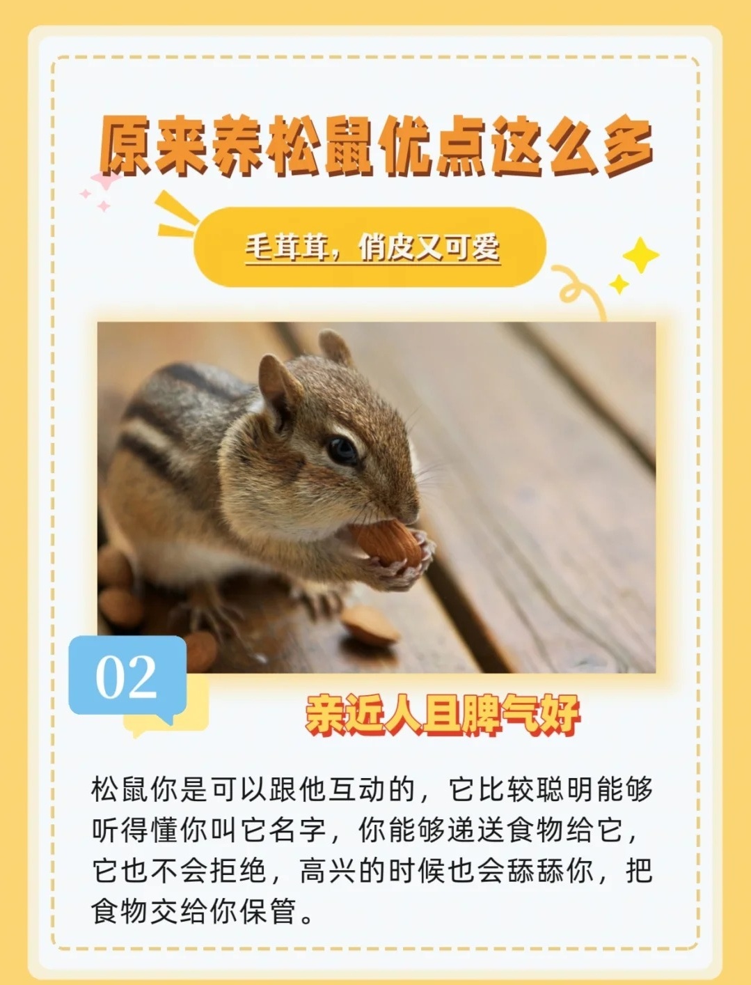 疫情下家庭养松鼠的适宜性探讨