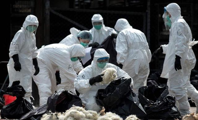 全球新冠疫情死亡人数排名表及其深远影响分析