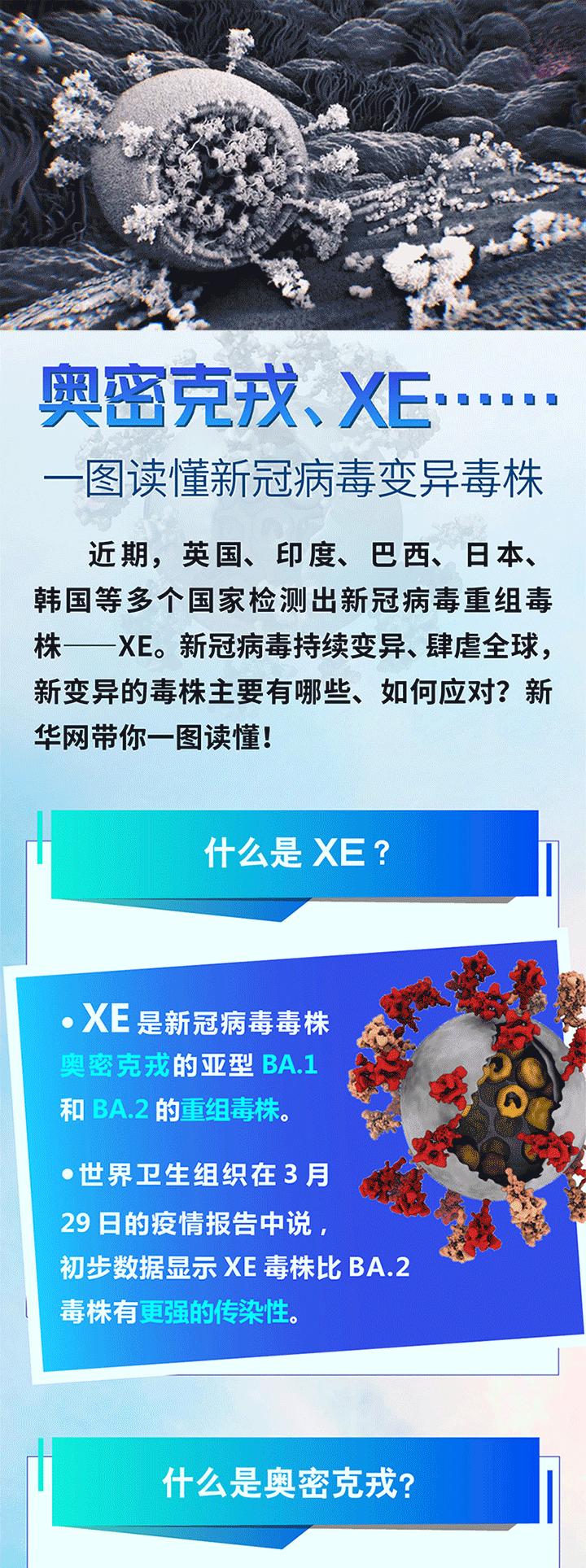 全球新冠疫情死亡人数统计及其深远影响