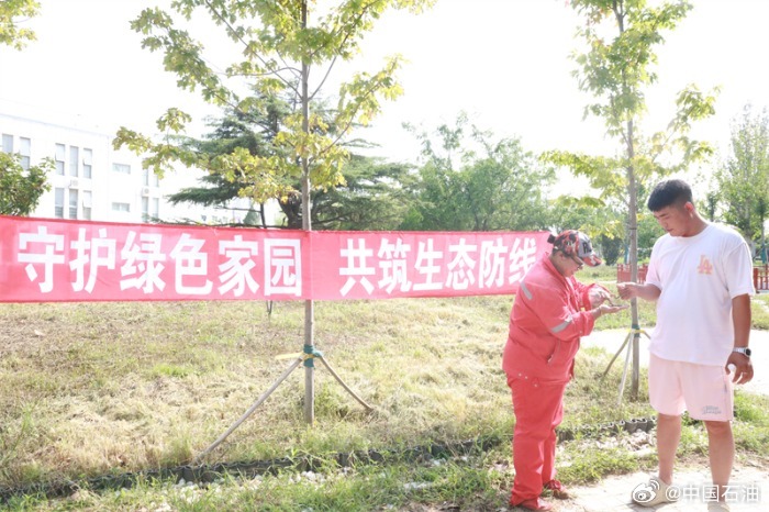 疫情最轻的省份，生命线守护的绿色港湾